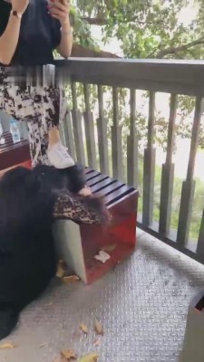 图片[9]_【丹祖宗】户外公园溜母狗被大叔发现 bf11007_HD绳艺资源