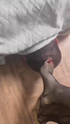 图片[2]_【川野尤娜】黑丝高跟诱惑捂死老公 bf11031_HD绳艺资源