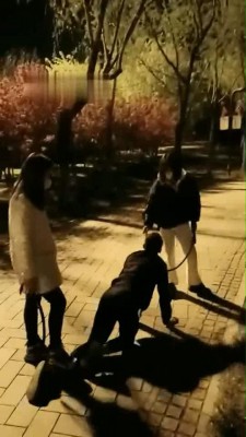 图片[5]_【红杉】户外玩狗 bf11049_HD绳艺资源