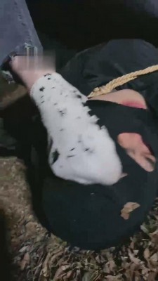 图片[4]_【领主老大】酒吧陪酒女虐待路人 bf11044_HD绳艺资源