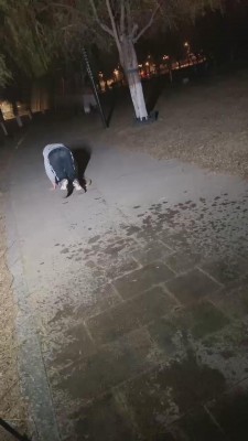 【二宝】大学生S户外调双狗 bf11039_HD绳艺资源