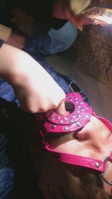 图片[2]_【天津桃桃】户外公厕旁逮住跟踪狗【双视角版】 bf11214_HD绳艺资源