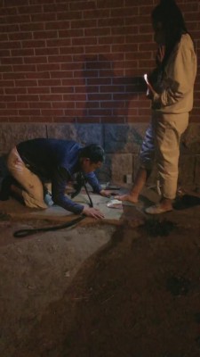 图片[9]_【天津桃桃】户外公厕旁逮住跟踪狗【双视角版】 bf11214_HD绳艺资源