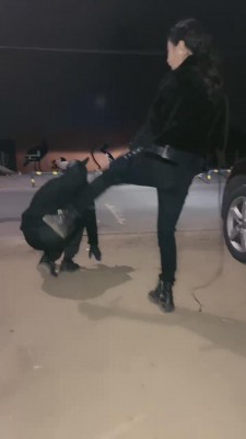 【鑫儿教头】户外公开军训爬行犬 bf11262_HD绳艺资源