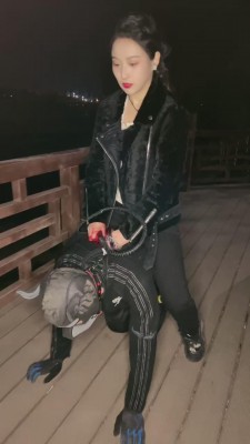 图片[4]_【鑫儿教头】户外公开军训爬行犬 bf11262_HD绳艺资源