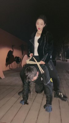 图片[5]_【鑫儿教头】户外公开军训爬行犬 bf11262_HD绳艺资源