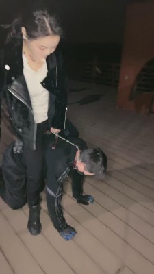 图片[6]_【鑫儿教头】户外公开军训爬行犬 bf11262_HD绳艺资源