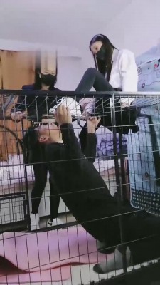 图片[5]_【傲柔】教妹妹虐关在狗笼里的继父 bf11345_HD绳艺资源