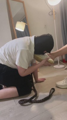 图片[11]_【关关】脏椰子鞋/训练狗师兄 bf11359_HD绳艺资源