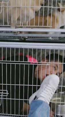 图片[9]_【傲柔】和姐妹闺蜜们吃饭群调狗奴【续集】 bf11391_HD绳艺资源