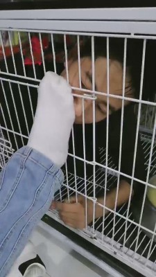 图片[10]_【傲柔】和姐妹闺蜜们吃饭群调狗奴【续集】 bf11391_HD绳艺资源