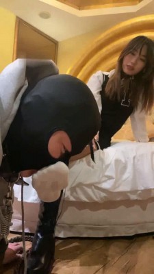 图片[10]_【关关】小调一只蠢狗 bf11468_HD绳艺资源