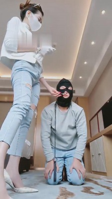 图片[4]_【多多】酒店圈养犬化训练 bf9912_HD绳艺资源