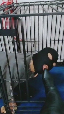 图片[3]_【魔鬼天使绳艺导师】狗囚禁狗笼舔脏皮靴_HD绳艺资源