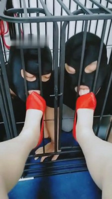 图片[3]_【魔鬼天使绳艺导师】双狗争宠实录 bf8069_HD绳艺资源