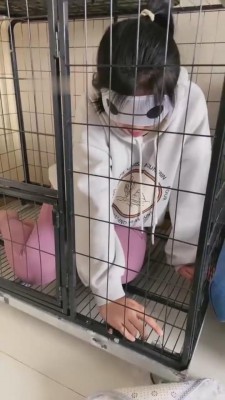 【蜜儿】狗笼里的女闺蜜 bf8274_HD绳艺资源