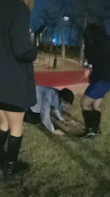 图片[6]_【丹祖宗】双S户外遛狗专场 bf8938_HD绳艺资源