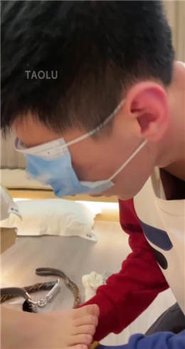 图片[9]_【关关】过来旅游的废物狗   JS22031602_HD绳艺资源