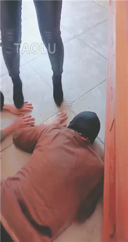 图片[4]_【羽诺】户外遛狗   JS2203153_HD绳艺资源