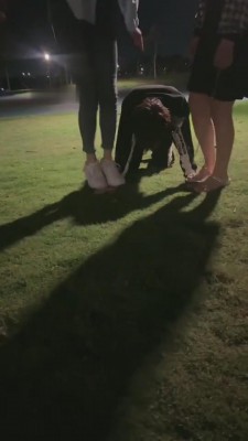 图片[2]_【莫妮卡】户外双s带素人闺蜜玩狗【三视角版】 bf8714_HD绳艺资源