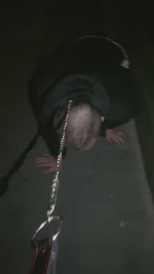 【樱桃大大】一场说走就走的遛狗 bf8426_HD绳艺资源