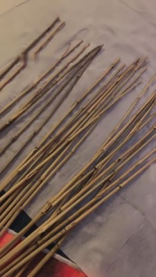 图片[3]_【晨晨】打屁股筛选藤条硬度 bf8605_HD绳艺资源