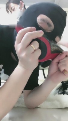 图片[8]_【linda】黑丝高跟S鞭策贱狗 bf8597_HD绳艺资源