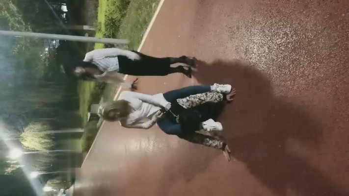 图片[2]_【紫烟】双S户外玩狗狗【双视角版】 bf9006_HD绳艺资源