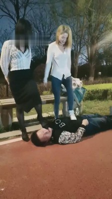 图片[5]_【紫烟】双S户外玩狗狗【双视角版】 bf9006_HD绳艺资源