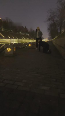 【乐姐s】护城河边散步遛狗【完整版】 bf10061_HD绳艺资源