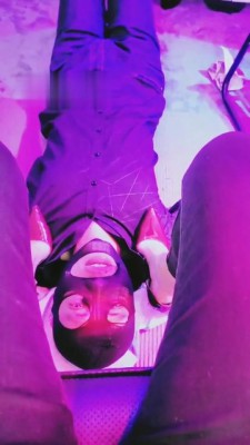 图片[5]_【小拽主人】喂食口水舔鞋 bf8985_HD绳艺资源