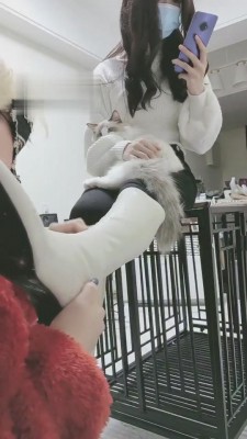 【时安】不听话的贱下场 bf4456_HD绳艺资源