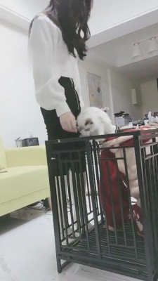 图片[3]_【时安】不听话的贱下场 bf4456_HD绳艺资源