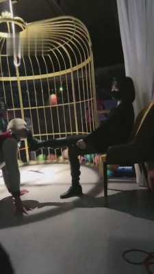 图片[2]_【小拽主人】双S酒吧轮流踢踹-表妹首调 bf4538_HD绳艺资源