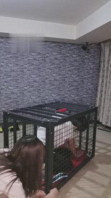 【夏夏绳缚】囚禁虐待圈养狗 bf4569_HD绳艺资源