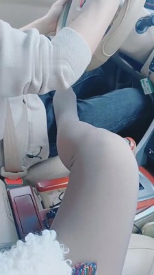 【扶摇小主】滴滴打车遇上狗 bf4806_HD绳艺资源