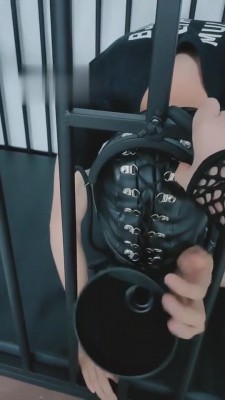 【就是喜欢玩啊】狗笼里可怜的狗 bf5596_HD绳艺资源