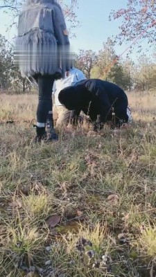 图片[5]_【羽珊】贱狗不听话绑在林子里 bf5795_HD绳艺资源