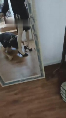 图片[7]_【上海糖糖老师】碾压食物喂小奶狗 bf5788_HD绳艺资源