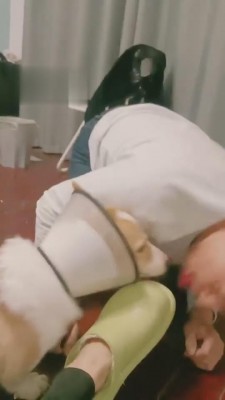 图片[6]_【西西小主】二狗挑战犬化奴役 bf5121_HD绳艺资源