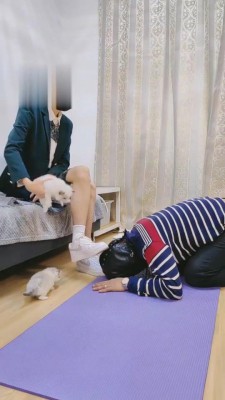 图片[2]_【高难度挑战美学】学姐范-猫咪的奴下奴 bf5269_HD绳艺资源