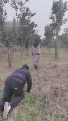 【药神】户外遛狗骑马活埋 bf5278_HD绳艺资源