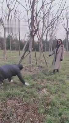 图片[2]_【药神】户外遛狗骑马活埋 bf5278_HD绳艺资源