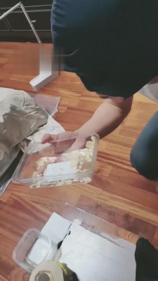 图片[8]_【蜘蛛绳艺导师】御姐黑丝高跟圣水泡饼干喂食 bf5309_HD绳艺资源