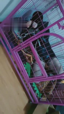 图片[3]_【梓晨】枷锁+狗笼艺术囚禁虐 bf5208_HD绳艺资源