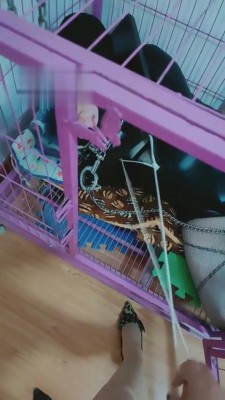 图片[5]_【梓晨】枷锁+狗笼艺术囚禁虐 bf5208_HD绳艺资源