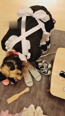 【女攻驾到】女仆装日常犯贱_HD绳艺资源