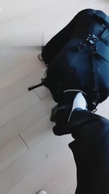 图片[3]_【梓晨】人形犬驯化全过程实录 bf1408_HD绳艺资源