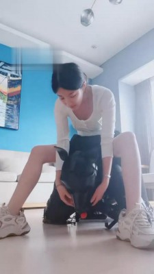 图片[5]_【梓晨】人形犬驯化全过程实录 bf1408_HD绳艺资源