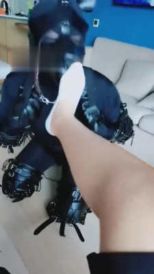 图片[6]_【梓晨】人形犬驯化全过程实录 bf1408_HD绳艺资源